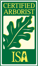 Certified Arborist First State Tree Service Certified Arborist First State Tree Service