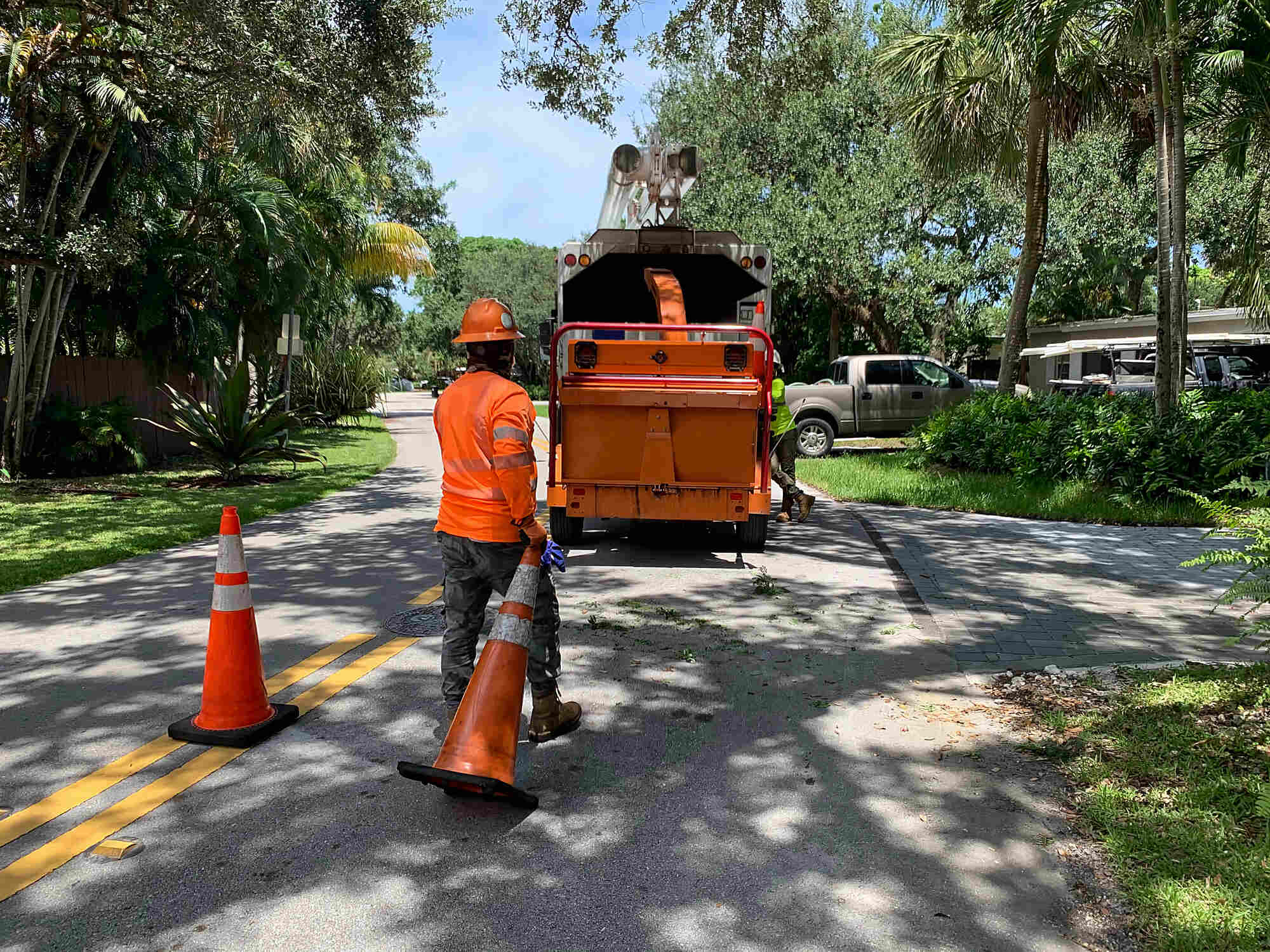 man-putting-safety-pilon-on-street-tree-services-in-delaware