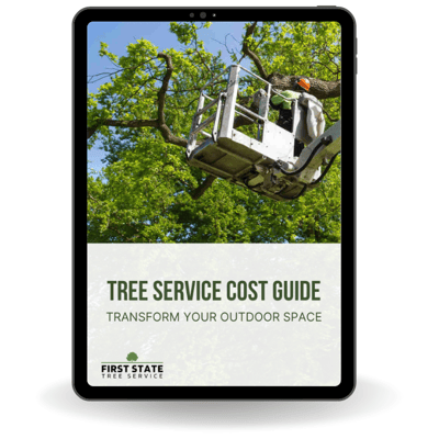 Tablet view of tree service cost guide