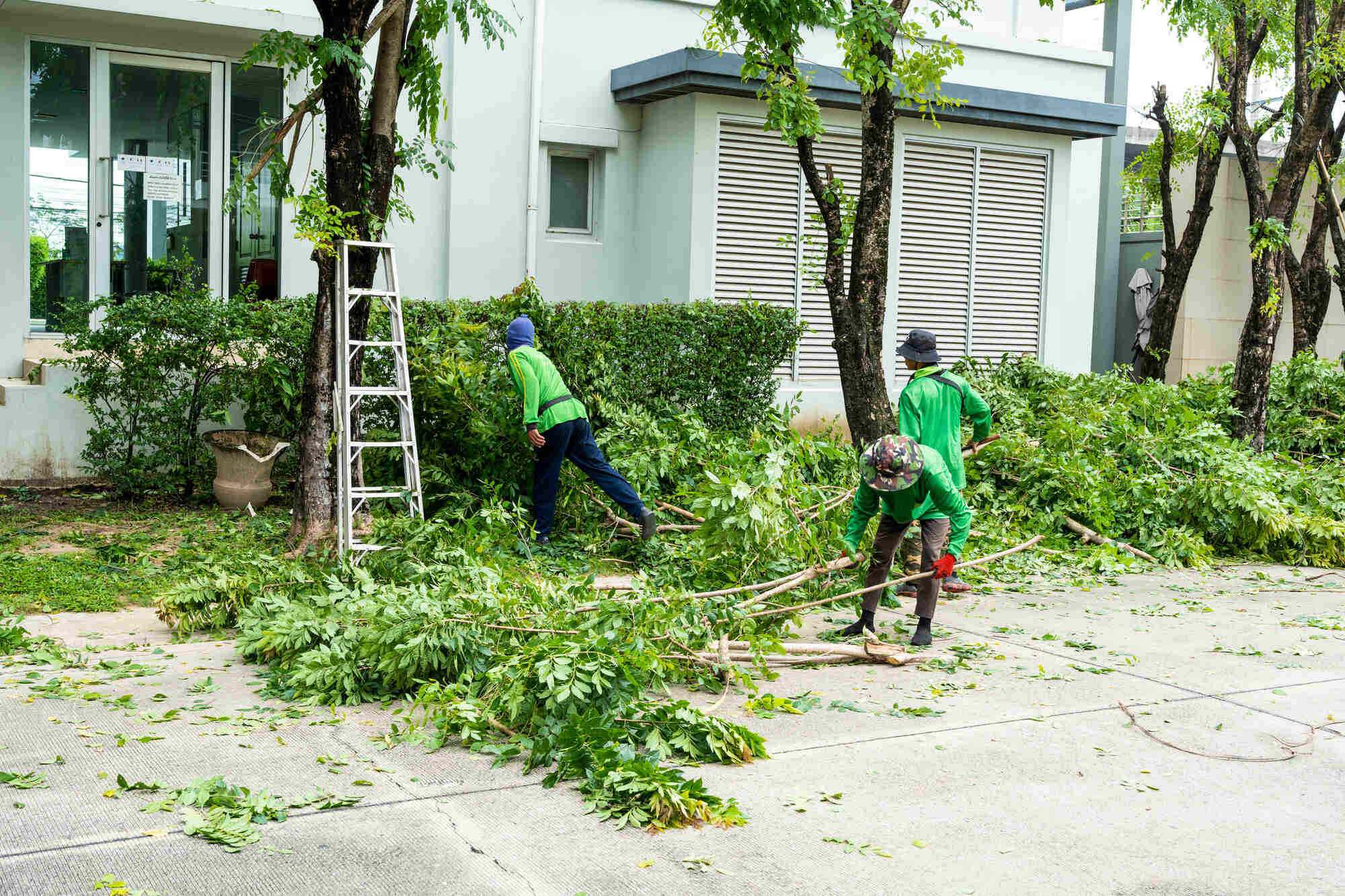 tree-trimming-team-cleaning-up-house-in-delaware